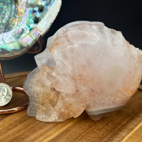 Orca Agate Skull Carving Quartz Pink Clear Neurology Neuro Surgery Office Decor - Picture 2 of 11